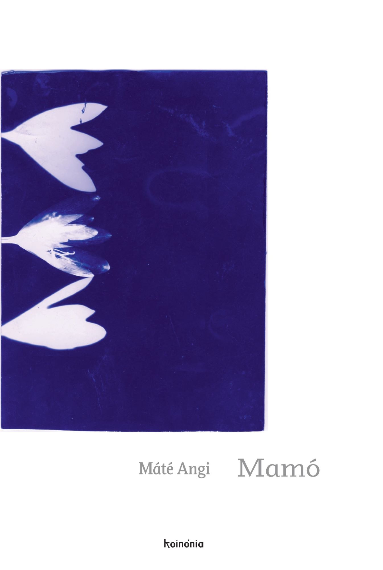 Mamó