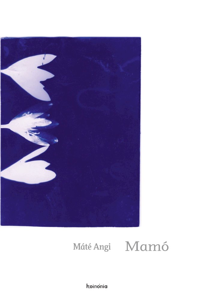 Mamó